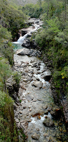 fotodocument natuurfoto portugal 