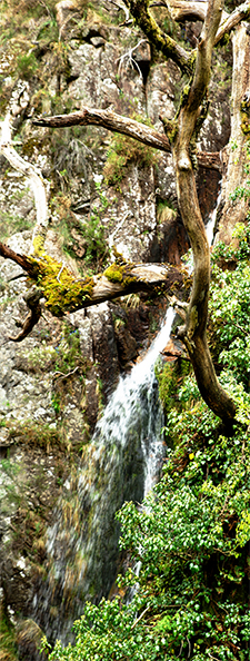 fotodocument natuurfoto portugal 