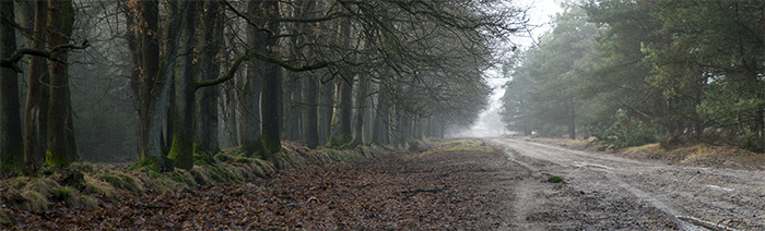 natuurfotografie Frank Boogaard