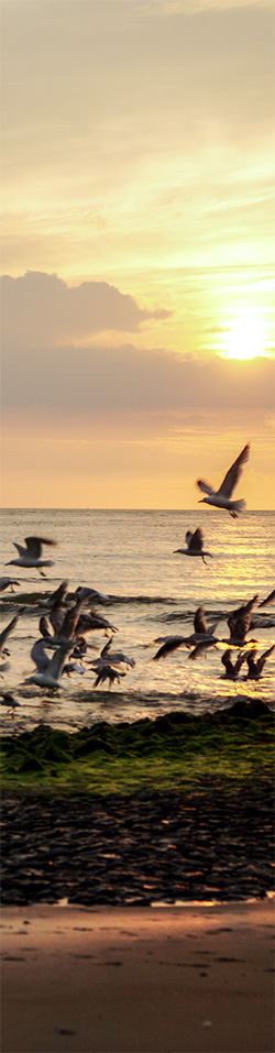 zondsondergang aan zee door Frank Boogaard 