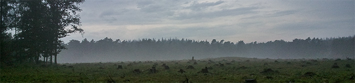 landschaps foto Frank Boogaard