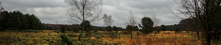 herfst foto frank boogaard