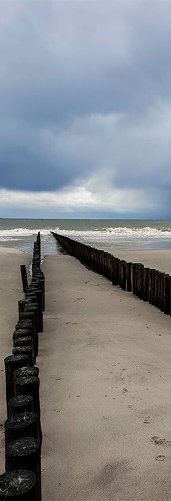 fotodocument natuurfotografie Frank Boogaard 