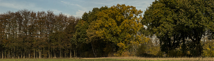 frank boogaard natuurfoto's