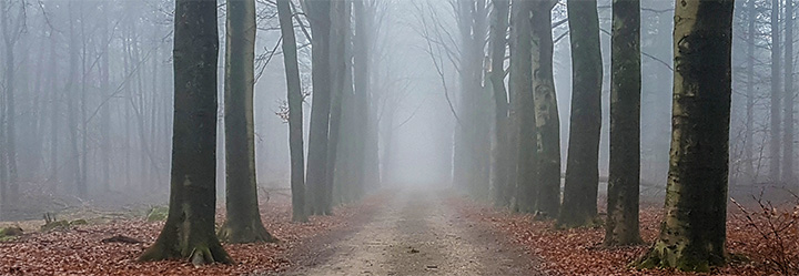 natuurfotografie Frank Boogaard