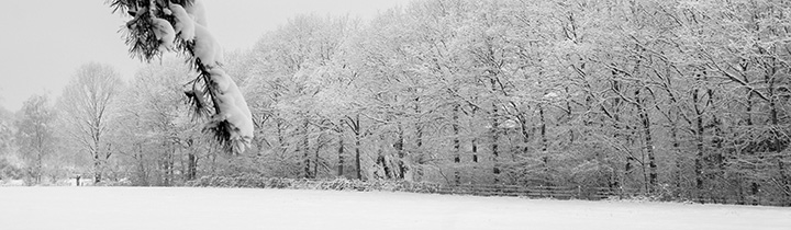 natuurfoto Frank Boogaard