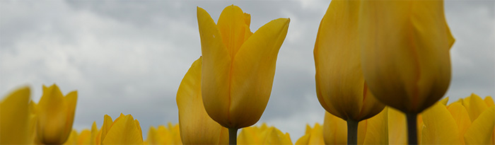 natuurfoto Frank Boogaard