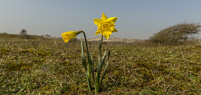 natuur fotografie frank boogaard