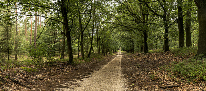 natuurfotograaf frank boogaard