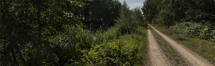 natuurfotografie Frank Boogaard