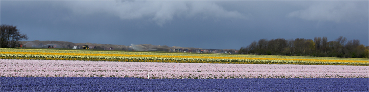 natuur foto van Frank Boogaard