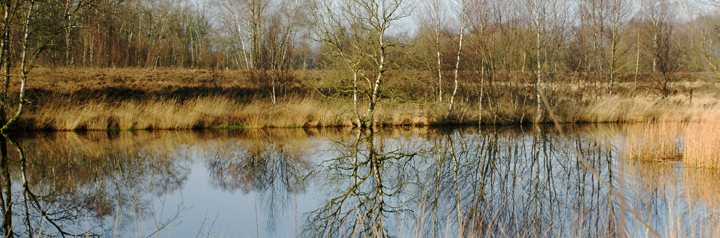 fotografie Frank Boogaard