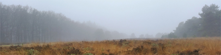 foto ginkelse heide