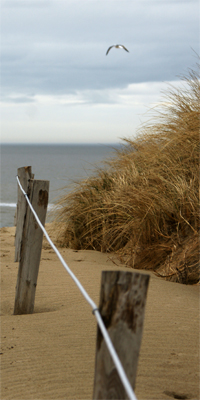 fotodocument ** 