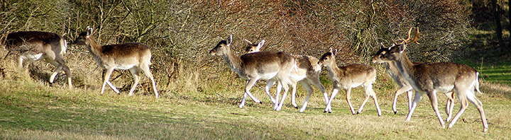 Natuurfoto van frank boogaard