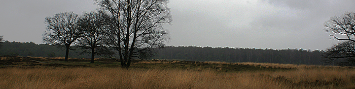 Natuur fotografie frank Boogaard