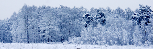 fotografie Frank Boogaard