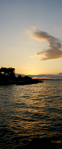 fotodocument ** 